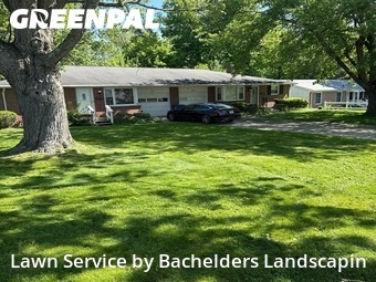 Lawn Mow nearby Mansfield, OH, 