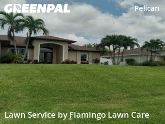 Lawn Mow nearby Cape Coral, FL, 
