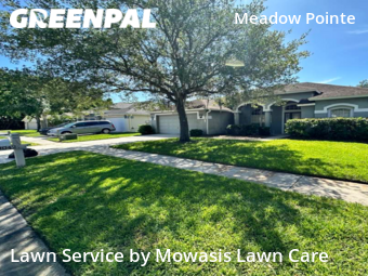 Yard Cutting nearby Zephyrhills, FL, 