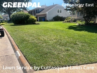 Yard Cutting nearby Chesapeake, VA, 
