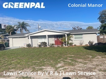 Lawn Cut nearby New Port Richey, FL, 