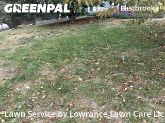 Lawn Mowing Service nearby Olathe, MO, 