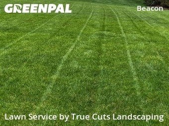 Lawn Cut nearby Hilliard, OH, 