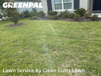 Grass Cut nearby Palmetto, FL, 