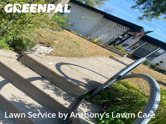 Lawn Mow nearby Minneapolis, MN, 