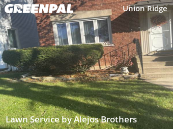 Yard Cutting nearby Chicago, IL, 