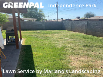 Yard Cutting nearby Phoenix, AZ, 