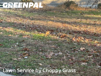 Lawn Maintenance nearby Hillsdale, NJ, 