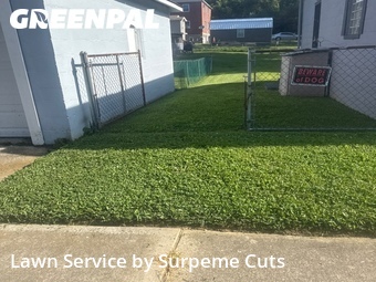 Lawn Care Service nearby Cincinnati, OH, 