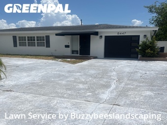 Landscaping Services In St. Petersburg,33702,Landscaping Maintenance by Buzzybeeslandscaping, work completed in Jul , 2026