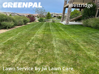 Lawn Upkeep in Highlands Ranch, 80126, Lawn Upkeep by Jw Lawn Care , work completed in Nov , 2025