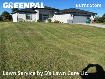 Lawn Service nearby Cape Coral, FL, 