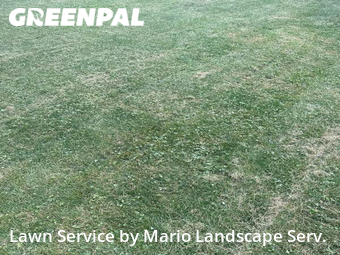 Lawn Care nearby Zion, IL, 