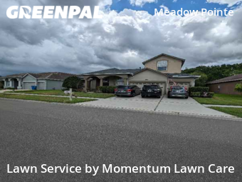 Grass Cut nearby Wesley Chapel, FL, 