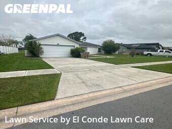 Grass Cut nearby Kissimmee, FL, 