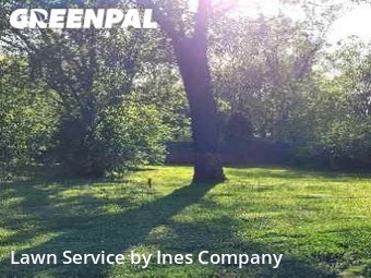 Lawn Mow nearby Downers Grove, IL, 