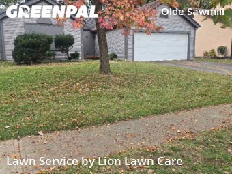 Grass Cutting in Dublin, 43016, Lawn Cutting by Lion Lawn Care , work completed in Oct , 2025