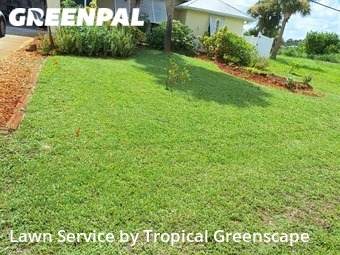 Lawn Care Service nearby Port Charlotte, FL, 