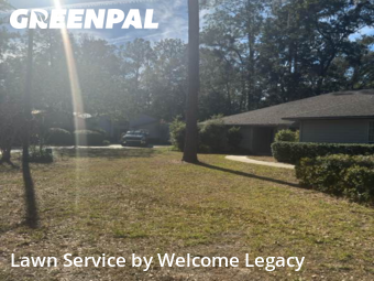Garden Trimming in Gainesville, 32606, Lawn Upkeep by Welcome Legacy , work completed in Dec , 2025