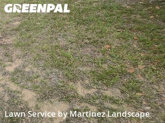 Lawn Mow nearby Eustis, FL, 