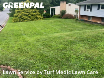 Lawn Care nearby Cave Spring, VA, 