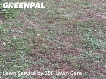 Yard Mowing nearby Anniston, AL, 