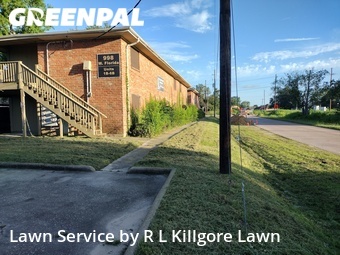 Grass Cut nearby Beaumont, TX, 