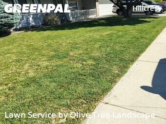 Yard Cutting nearby Boise, ID, 
