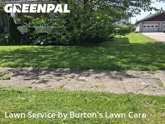 Yard Cutting nearby Struthers, PA, 