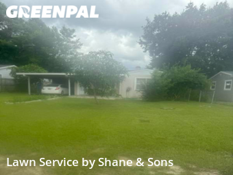 Yard Cutting nearby St. Petersburg, FL, 