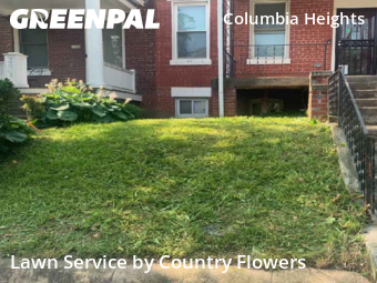 Grass Cut nearby Washington, MD, 