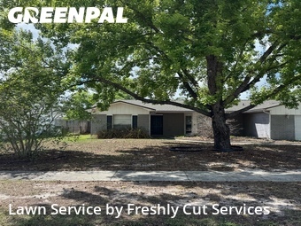 Lawn Mowing nearby Brandon, FL, 