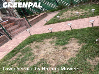 Lawn mowed in Queens, 11413