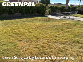 Lawn Care Service nearby Albuquerque, NM, 