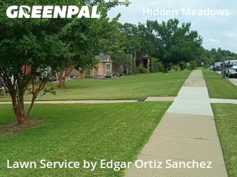 Landscaping Maintenance In Plano,75074,Landscaping Services by Edgar Ortiz Sanchez, work completed in Jun , 2026