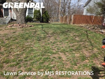 Grass Cutting nearby Independence, MO, 