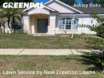 Grass Cutin Riverview,33578,Lawn Service by New Creation Lawns, work completed in Jun , 2026