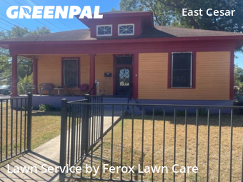 Lawn Cut nearby Austin, TX, 