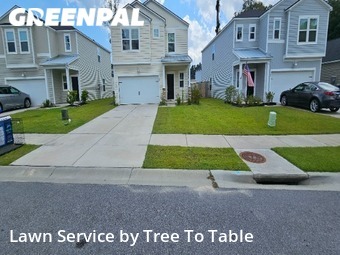 Lawn Mowing Service nearby Charleston, SC, 