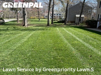 Grass Cut nearby Midlothian, VA, 