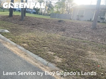 Lawn Mow nearby Suwanee, GA, 