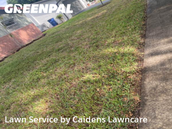 Lawn mowed in Cooper City, 33328