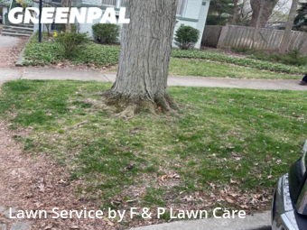 Grass Cutting nearby Evanston, IL, 