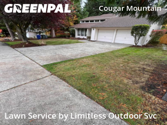 Lawn Cuttingin Bellevue,98006,Yard Cutting by Limitless Outdoor Svc, work completed in Dec , 2025