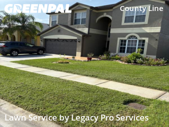 Grass Cut nearby Tampa, FL, 