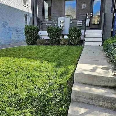 Lawn Love Lawn Care of Washington DC Photo 2