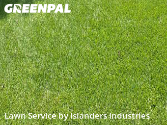 Grass Cut nearby Prairieville, LA, 