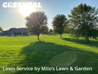 Lawn Mow nearby Pasco, WA, 