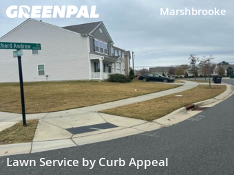 Grass Cutin Matthews,28105,Grass Cutting by Curb Appeal, work completed in Dec , 2025