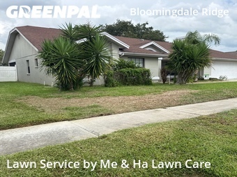 Lawn Care Service nearby Valrico, FL, 